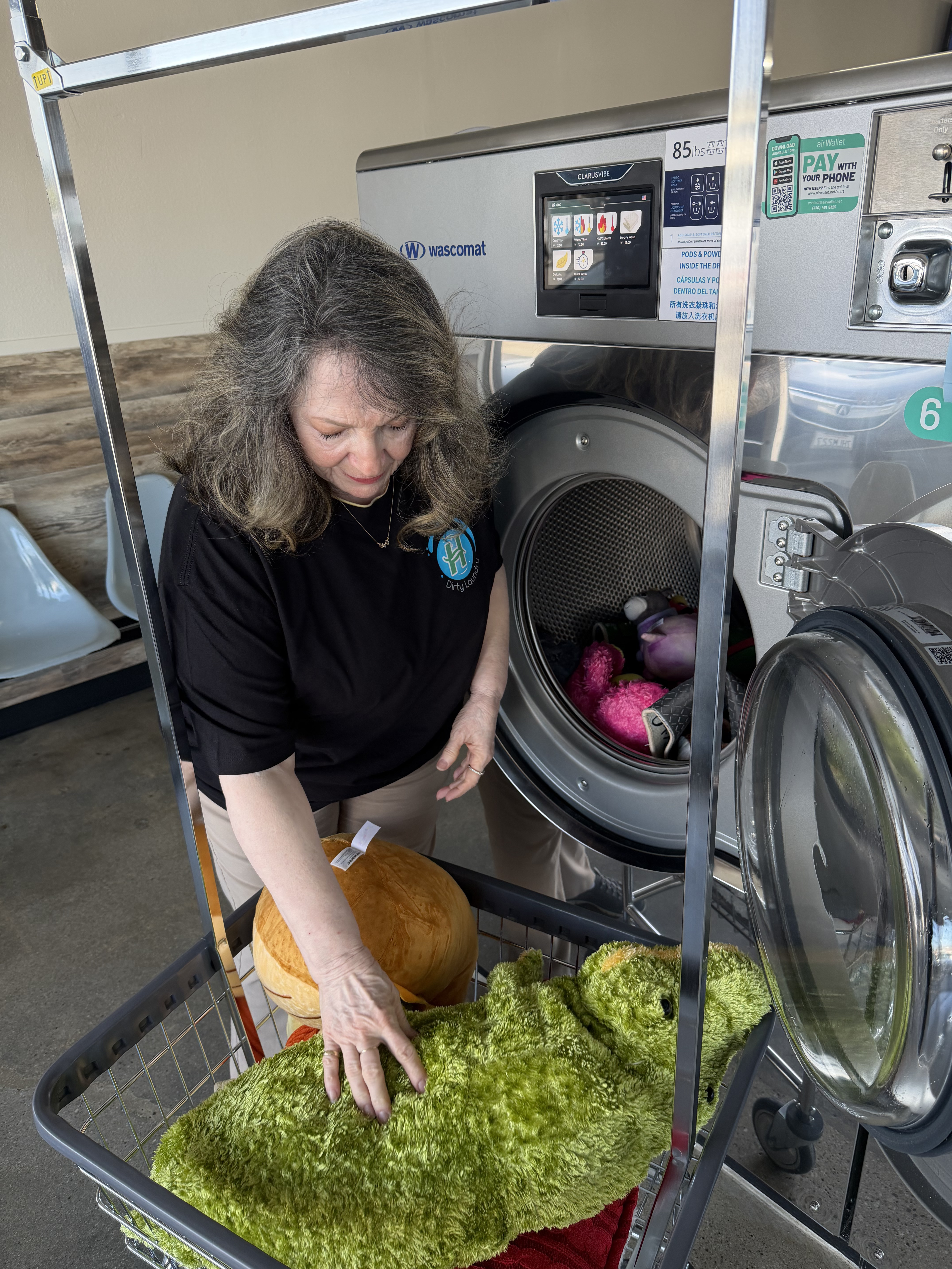 Self Serve Laundry Hacienda Heights Ca (4)