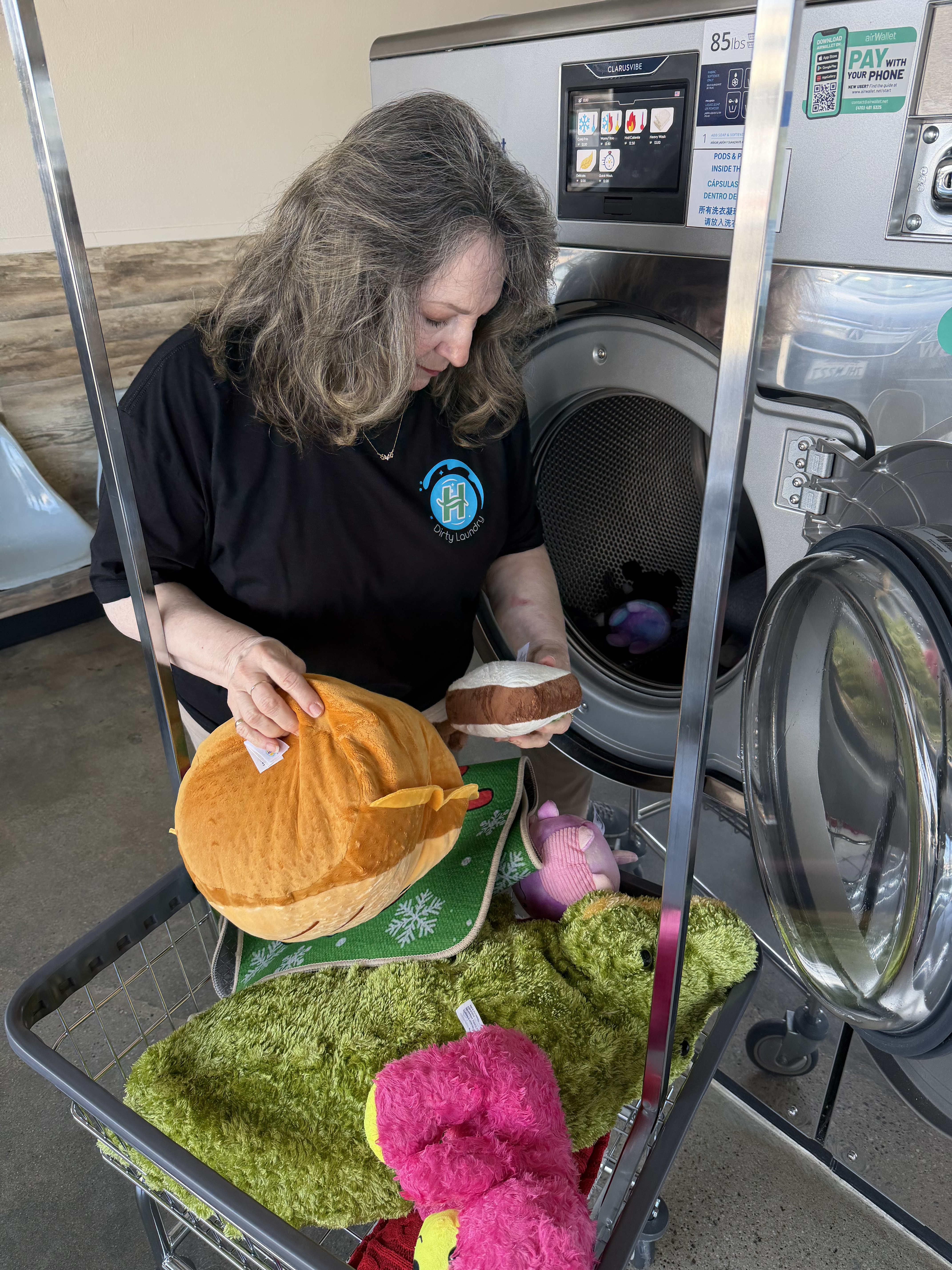 Self Serve Laundry Hacienda Heights Ca (2)
